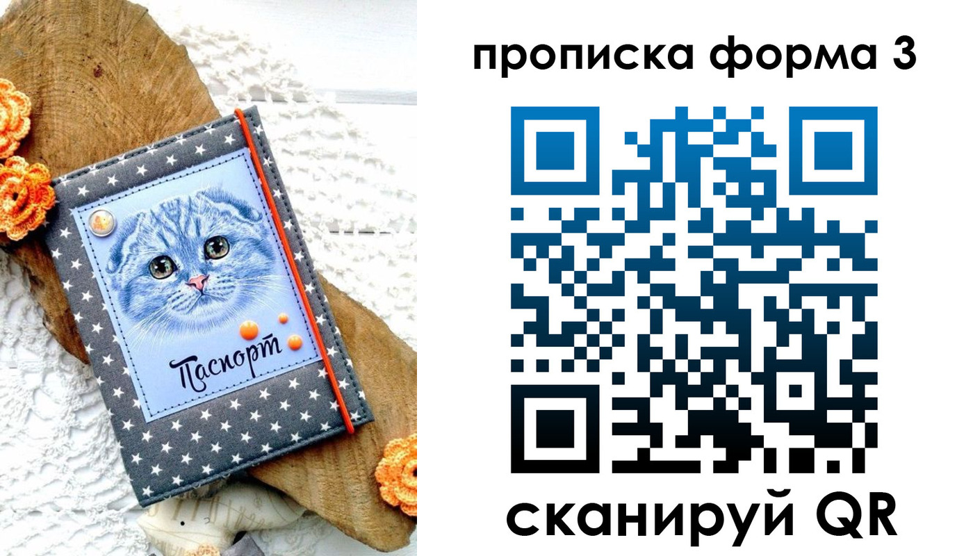 прописка поиск в Баймаке